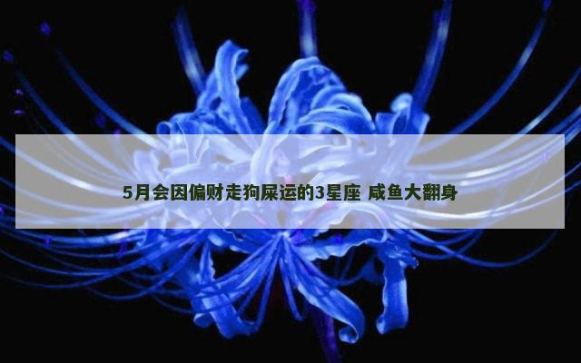 5月会因偏财走狗屎运的3星座 咸鱼大翻身