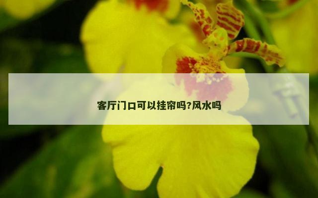 客厅门口可以挂帘吗?风水吗