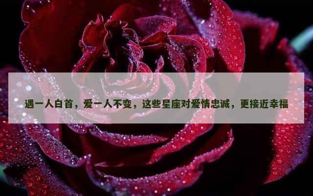 遇一人白首，爱一人不变，这些星座对爱情忠诚，更接近幸福