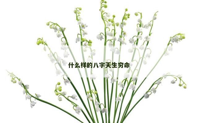 什么样的八字天生穷命