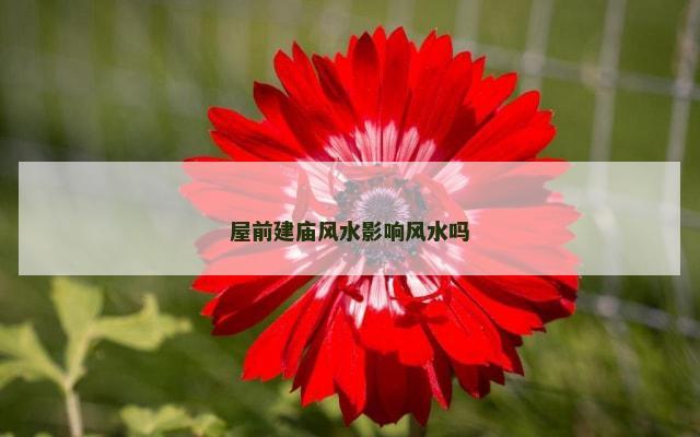 屋前建庙风水影响风水吗