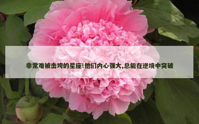 非常难被击垮的星座!他们内心强大,总能在逆境中突破