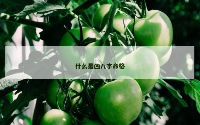 什么是凶八字命格