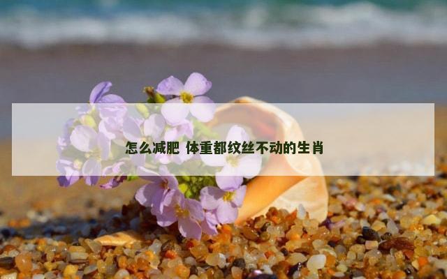 怎么减肥 体重都纹丝不动的生肖