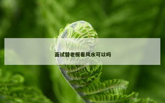 面试替老板看风水可以吗