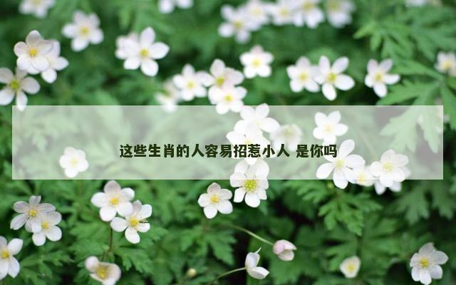 这些生肖的人容易招惹小人 是你吗