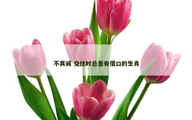 不真诚 交往时总是有借口的生肖