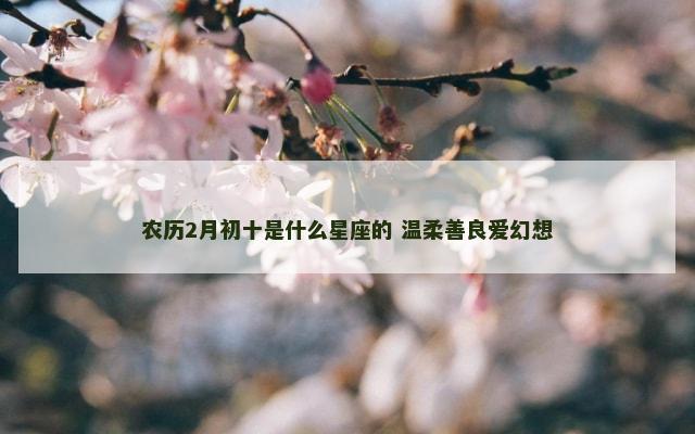 农历2月初十是什么星座的 温柔善良爱幻想