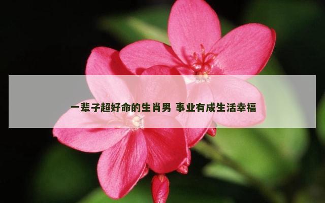 一辈子超好命的生肖男 事业有成生活幸福