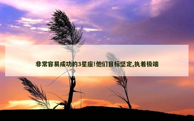 非常容易成功的3星座!他们目标坚定,执着极端