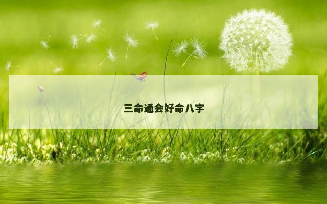 三命通会好命八字