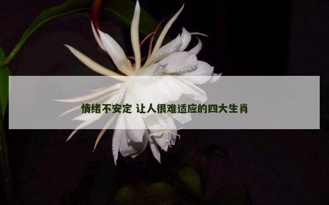 情绪不安定 让人很难适应的四大生肖