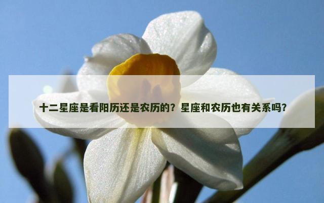十二星座是看阳历还是农历的？星座和农历也有关系吗？