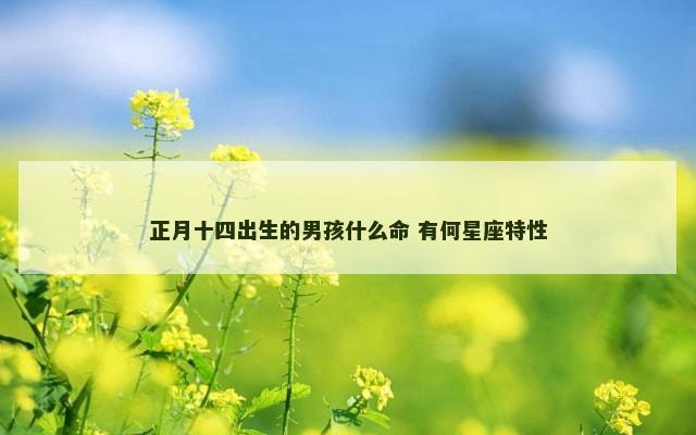 正月十四出生的男孩什么命 有何星座特性