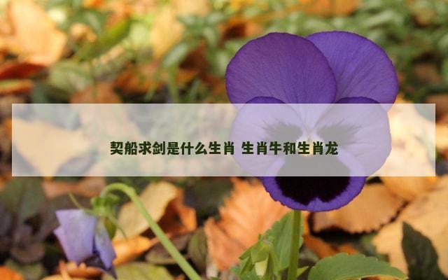 契船求剑是什么生肖 生肖牛和生肖龙