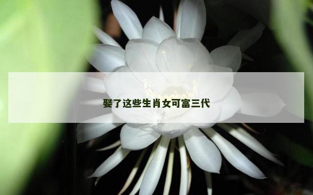 娶了这些生肖女可富三代