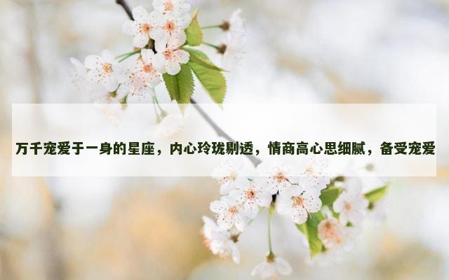 万千宠爱于一身的星座，内心玲珑剔透，情商高心思细腻，备受宠爱