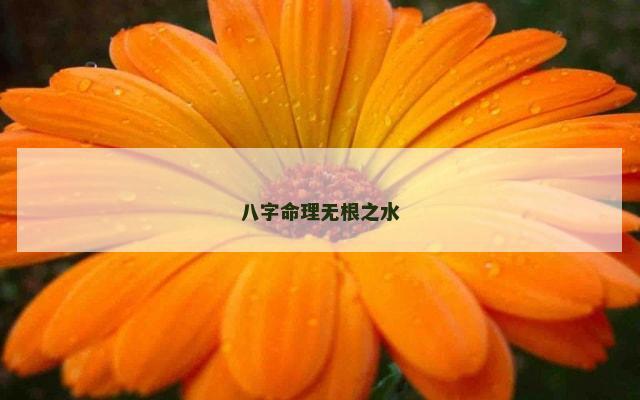 八字命理无根之水