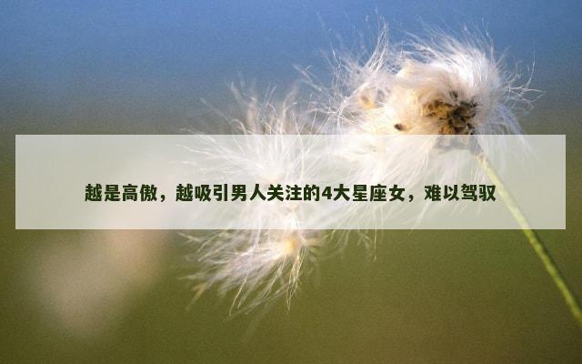 越是高傲，越吸引男人关注的4大星座女，难以驾驭