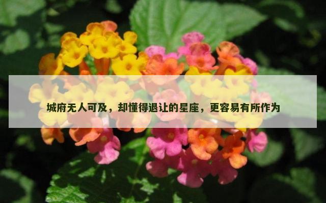 城府无人可及，却懂得退让的星座，更容易有所作为