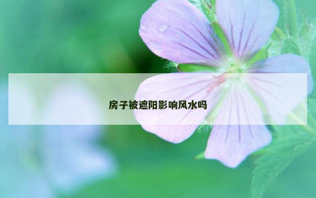 房子被遮阳影响风水吗