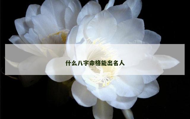 什么八字命格能出名人