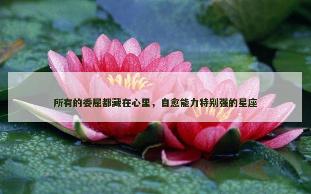 所有的委屈都藏在心里，自愈能力特别强的星座