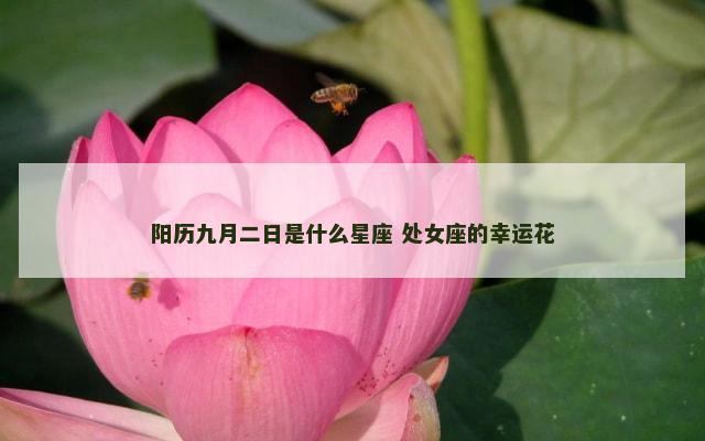 阳历九月二日是什么星座 处女座的幸运花