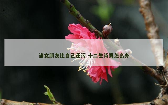 当女朋友比自己还污 十二生肖男怎么办
