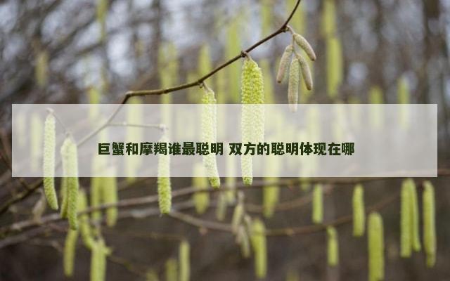 巨蟹和摩羯谁最聪明 双方的聪明体现在哪