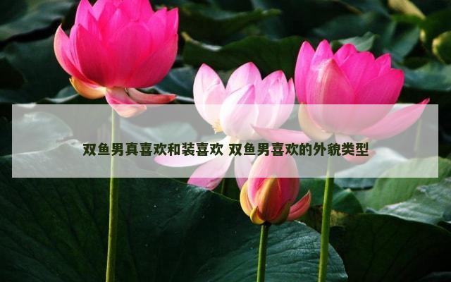 双鱼男真喜欢和装喜欢 双鱼男喜欢的外貌类型