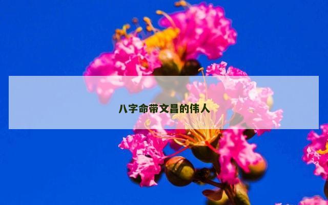 八字命带文昌的伟人