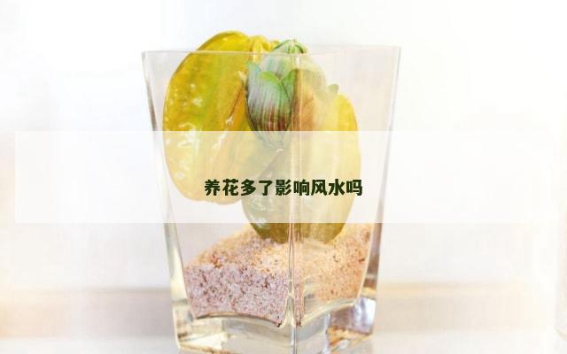养花多了影响风水吗