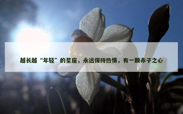 越长越“年轻”的星座，永远保持热情，有一颗赤子之心