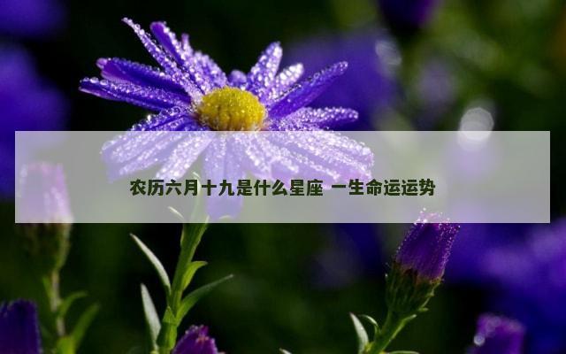 农历六月十九是什么星座 一生命运运势