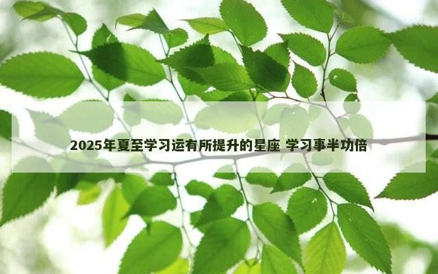 2025年夏至学习运有所提升的星座 学习事半功倍