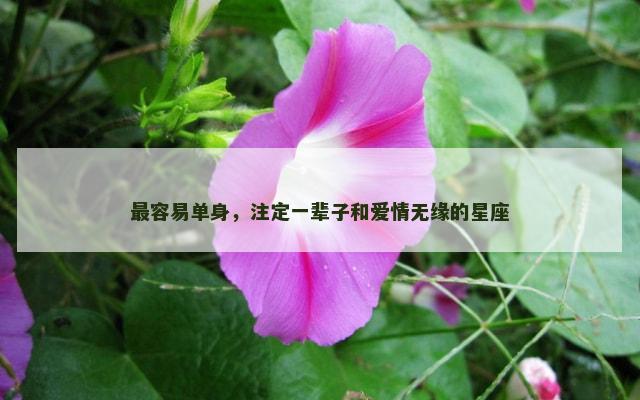 最容易单身，注定一辈子和爱情无缘的星座
