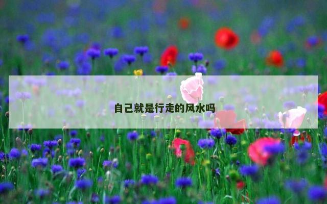 自己就是行走的风水吗