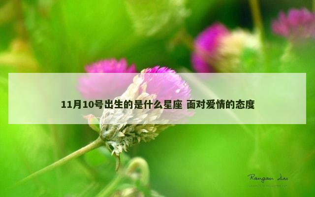 11月10号出生的是什么星座 面对爱情的态度