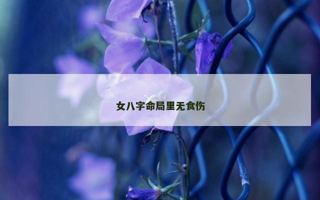 女八字命局里无食伤