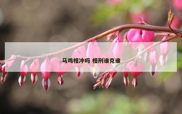 马鸡相冲吗 相刑谁克谁