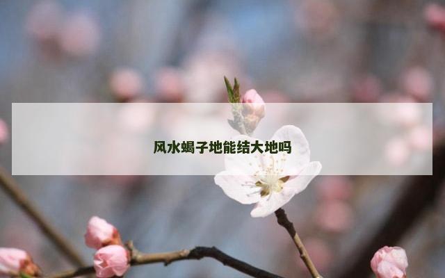 风水蝎子地能结大地吗