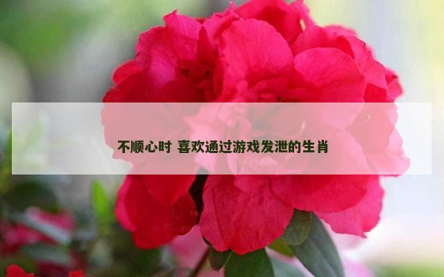 不顺心时 喜欢通过游戏发泄的生肖
