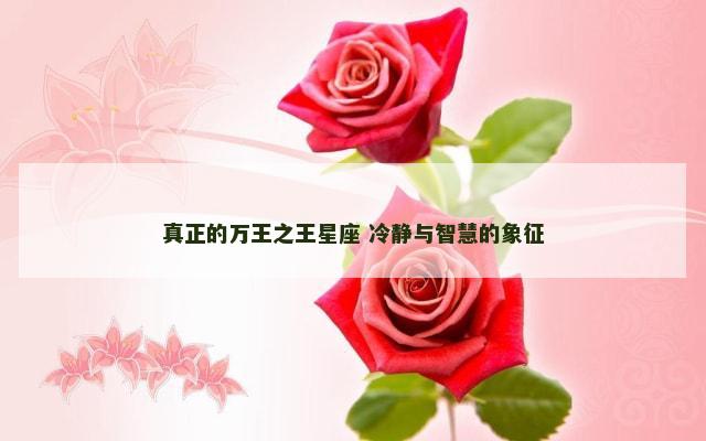 真正的万王之王星座 冷静与智慧的象征