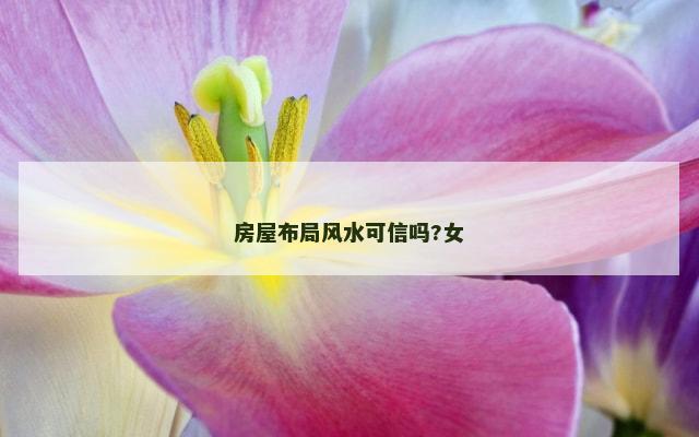 房屋布局风水可信吗?女