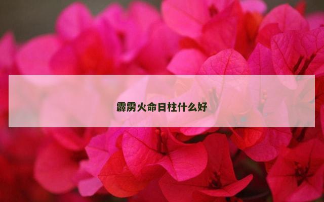 霹雳火命日柱什么好