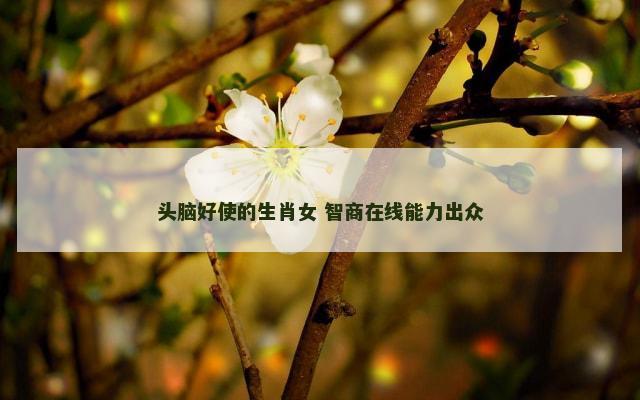 头脑好使的生肖女 智商在线能力出众