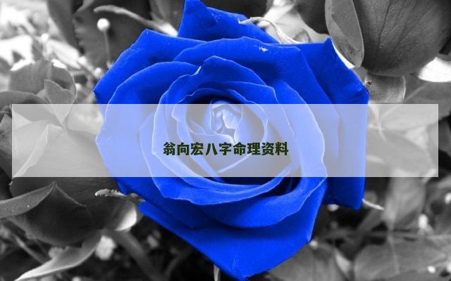 翁向宏八字命理资料