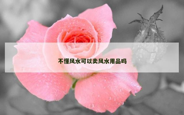 不懂风水可以卖风水用品吗