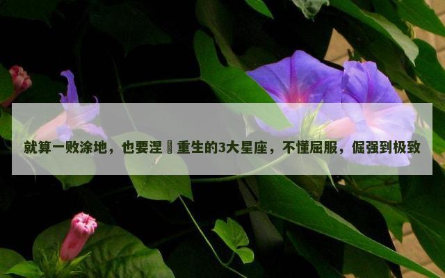 就算一败涂地，也要涅槃重生的3大星座，不懂屈服，倔强到极致